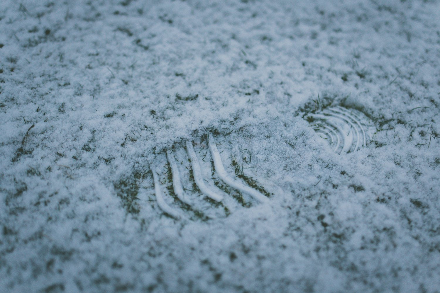 WHAT ARE COLD FEET AND WHAT ARE SOLUTIONS FOR IT!-SUPRGOODS